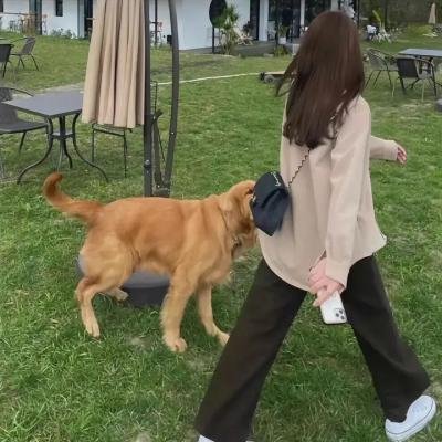 昆塔:反转星球